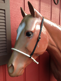 Covered Rope Noseband Tiedown