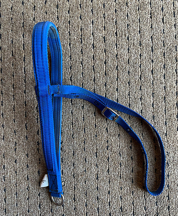 Slightly Used Nylon Noseband Tie Down, Small Horse or Cob sized, Royal Blue