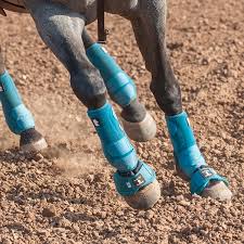All Horse Boots