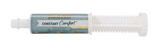 Tribute Constant Comfort Paste 60cc