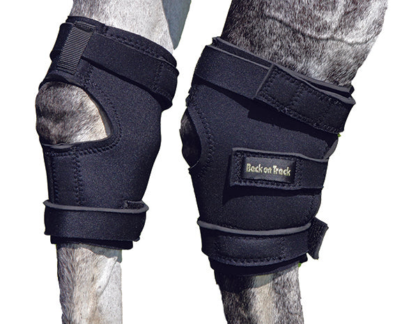 Back on track fetlock boots store