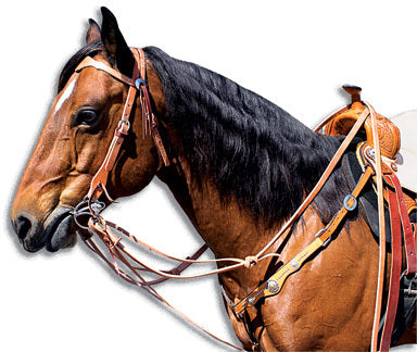 Sharon Camarillo Martingale set up 7762