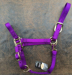 Fabtron Adjustable Nylon Horse Halter Purple