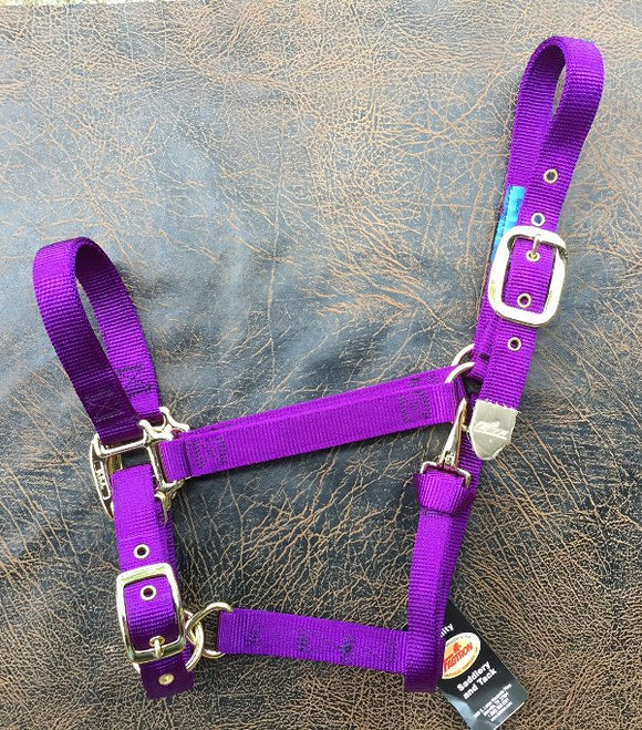 Fabtron Deluxe Horse Halter Purple