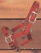 Hamilton Red Nylon Halter Miniature Weanling