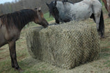 Hay Chix Large Bale 6' Net, 2-1/2" Large Stock Mesh Size