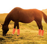 Orange Shoofly Leggins Fly Boots for Horses 